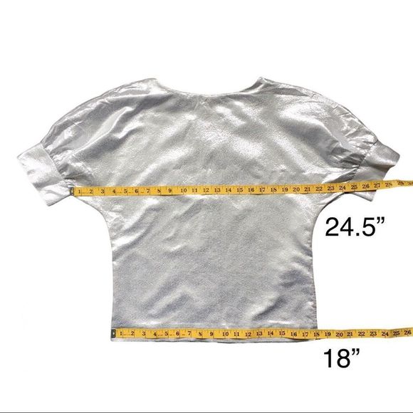 Anthropologie & Other Stories silver lamé short sleeve puff sleeve top size 4 - Picture 4 of 16
